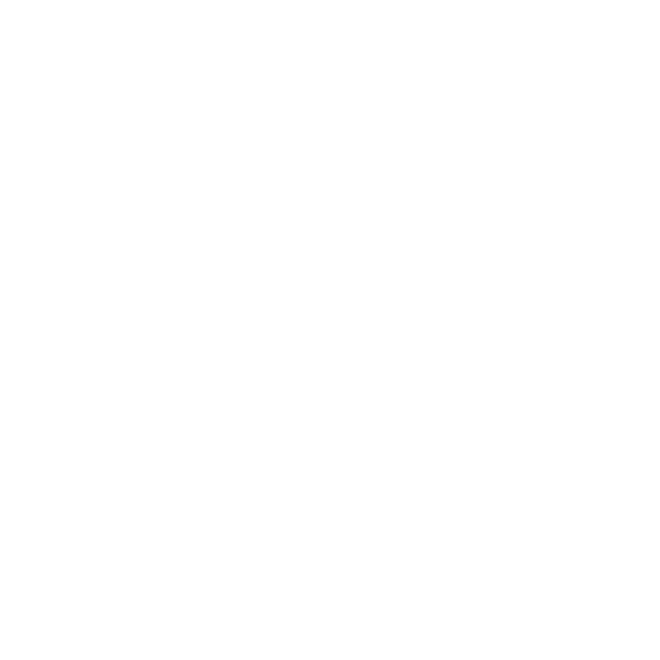 Logo Station Blanc